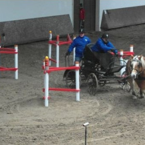 Carriage driving obstacle