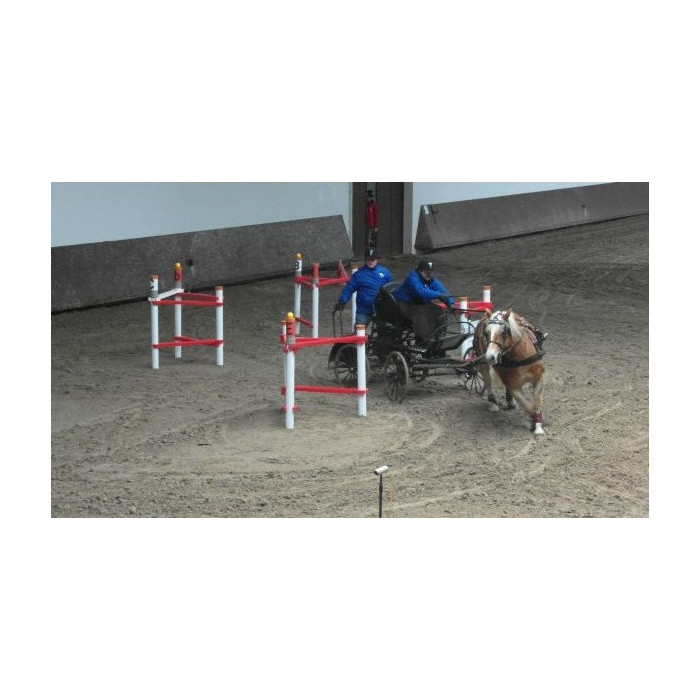 Carriage driving obstacle