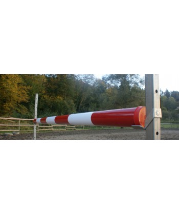 Plastic jump pole