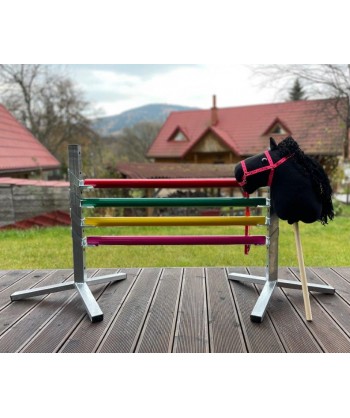 Hobby Horse + Obstacle Set