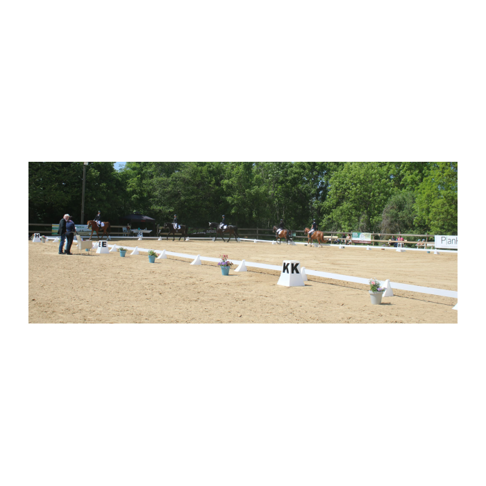"Stabiler" Dressurviereck (3m Planken)