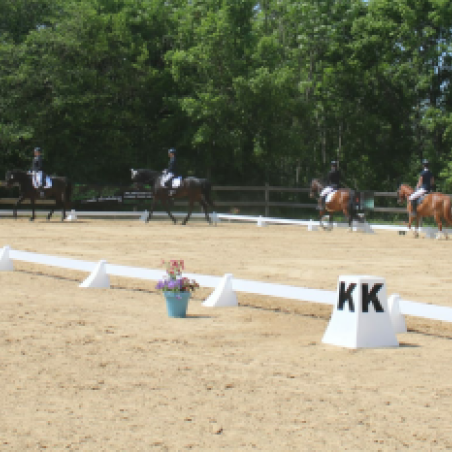 "Stabiler" Dressurviereck (3m Planken)